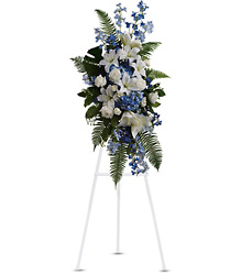 Ocean Breeze Spray from McIntire Florist in Fulton, Missouri